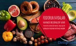 Fosforun Faydaları Nelerdir? Hangi Besinlerde Bulunur?