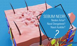 Sebum Nedir? Neden Artar? Nasıl Dengelenir ve Azaltılır?