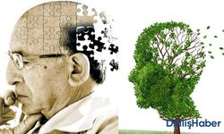 Alzheimer Hastalığı Belirtileri ve Tedavi Yöntemleri Nelerdir?