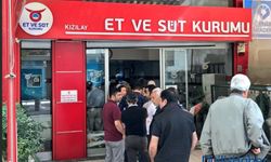 Kesim Fiyatlarında Düşüş Sürüyor: İnek, Dana, Düve ve Kuzu Fiyatları Güncellendi