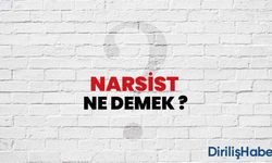 Narsist Ne Demek?