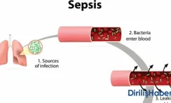 Sepsis İyileşir ve Tamamen Geçer Mi?