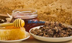 Arı Sütü Polen Propolis Bal Karışımı Faydaları!