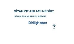 Siyah Zıt Anlamı Nedir?