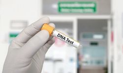 DNA Testi Nasıl Yapılır?