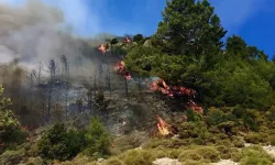 Antalya’da orman yangınına müdahale sürüyor