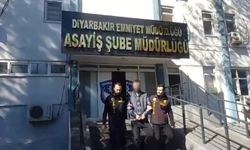 Diyarbakır merkezli suç örgütü operasyonu: 12 tutuklama