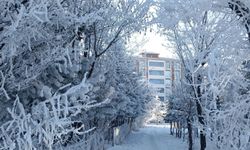 Doğu Karadeniz için kuvvetli kar yağışı uyarısı