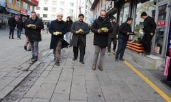 HÜDA PAR İl Ağrı İl Teşkilatı, 'anadil' için cadde cadde dolaşıp bilgilendirmede bulundu