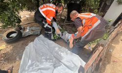 İşgalcilerin Gazze'ye yönelik saldırılarında son 24 saatte 4 şehit, 16 yaralı