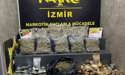 İzmir'de 10 kilogram esrar ele geçirildi