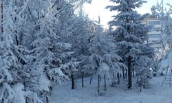 Karadeniz’de kuvvetli kar sağanağı uyarısı