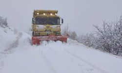 Malatya-Kayseri kara yolu kar nedeniyle kapandı