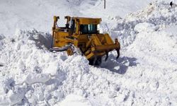 Meteorolojiden 2 bölge için çığ uyarısı