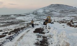 Meteorolojiden Siverek için kuvvetli kar yağışı uyarısı