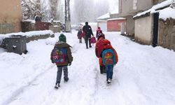 Olumsuz hava koşulları nedeniyle Bingöl’de eğitime 1 gün ara verildi