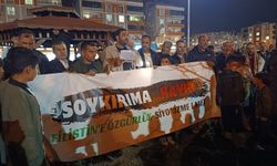 Gazze'deki katliam Viranşehir'de protesto edildi