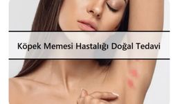 Köpek Memesi Hastalığı nasıl geçer❓