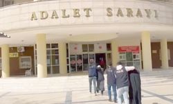 Şanlıurfa'da DEAŞ operasyonu: 2 tutuklama