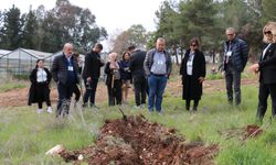 Türkiye’de ilk "Yaşayan Toprak Laboratuvarı" Çukurova Üniversitesi'nde kuruldu