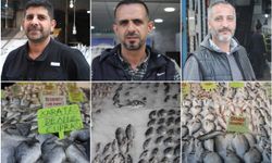 Balık sezonu sona erdi, esnaf gelecek sezona umutla bakıyor