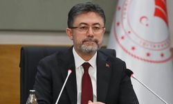 Ankara'da sağlığa zararlı 40 ton ürünün satışı engellendi