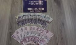 Bingöl'de hırsızlık zanlısı yakalandı