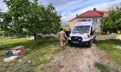 Elazığ'da bir kişi traktörün altında kalarak yaralandı