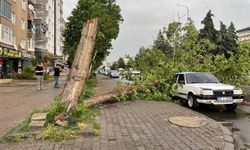 Fırtına Diyarbakır’da maddi hasara yol açtı