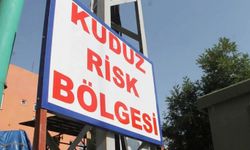 Hatay'da kuduz karantinası 