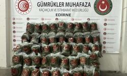 Kapıkule Sınır Kapısı'nda 382 kilogram uyuşturucu ele geçirildi