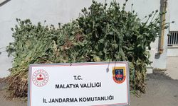 Malatya'da 18'i kesinleşmiş hapis cezası bulunan 30 kişi yakalandı