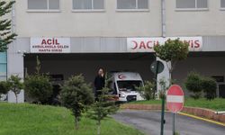 Malatya'da otomobil bahçeye yuvarlandı: 2 yaralı