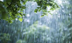 Meteorolojiden 16 il için sarı kodlu alarm!