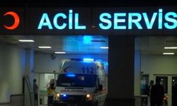 Patpat diye tabir edilen tarım aracı devrildi: 6 yaralı