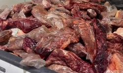 Şanlıurfa’da 1.5 ton kaçak ve bozulmuş et ele geçirildi