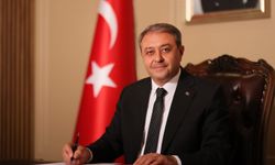 Şanlıurfa’da sahipsiz hayvanların toplanmasında yeni dönem başladı