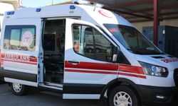 Şanlıurfa'da sokak köpeği zincirleme kazaya neden oldu: 4 yaralı
