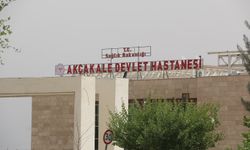 Şanlıurfa'da trafik kazası: 1 ölü