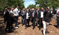TBMM Zirai Don Araştırma Komisyonu Malatya'da kayısı bahçelerini yerinde inceledi 