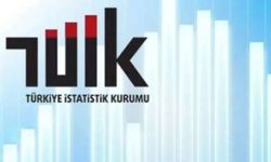 TÜİK Yurt Dışı Üretici Fiyat Endeksi verilerini açıkladı
