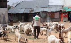 Umut Kervanı Siirt, Somali için kurban hazırlıklarını tamamladı