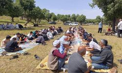 Viranşehir Peygamber Sevdalıları piknikte buluştu