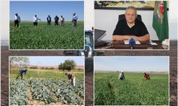 Ziraat Odası Başkanı Aydiş: Türkiye'nin kalıcı bir tarım politikasına ihtiyacı var