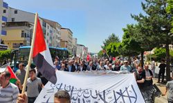 Bitlis’te Gazze için "Vicdan Yürüyüşü" düzenlendi