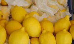 Fiyatın en çok artan ürün limon, en fazla düşen ise sivri biber oldu