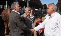 Kurban Bayramı yaklaştı pazarlıklar kızıştı