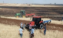 Mardin’de 200 dönüm ekili buğday kül oldu