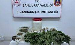 Şanlıurfa'da uyuşturucu operasyonu: 1 gözaltı