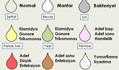 Vajinal Akıntı Renkleri Anlamları Nelerdir?